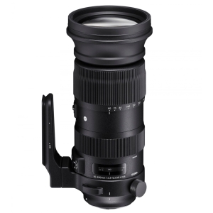 Sigma 60-600 mm F4.5-6.3 DG OS HSM (S) Nikon