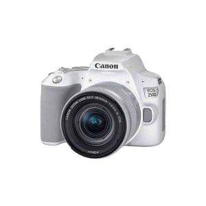 Canon Spiegelreflex EOS 250D Wit + EF-S 18-55mm IS STM